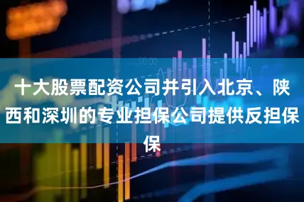 十大股票配资公司并引入北京、陕西和深圳的专业担保公司提供反担保