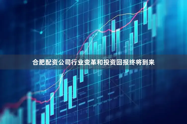 合肥配资公司行业变革和投资回报终将到来