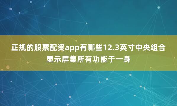 正规的股票配资app有哪些12.3英寸中央组合显示屏集所有功能于一身