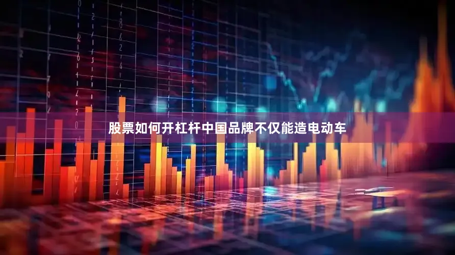 股票如何开杠杆中国品牌不仅能造电动车